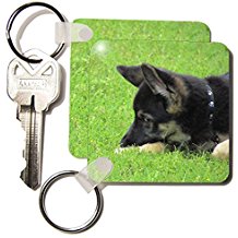 key chains german shephard puppy