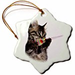Kitten Star ornament