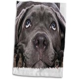 Hound dog hand towel 3 d rose