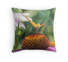 Butterfly Pillow