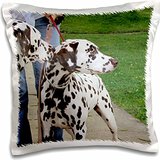 dalmation pillow